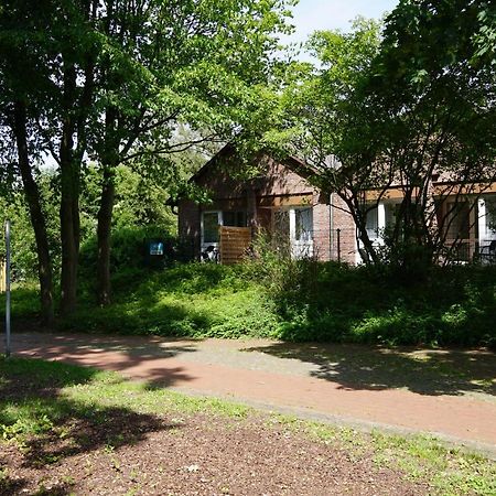 Hotel-Pension Am Boehmepark Soltau Zewnętrze zdjęcie
